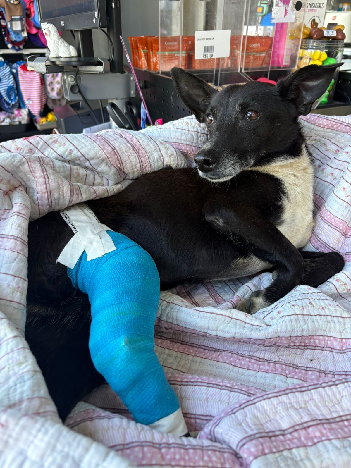 Uma Nova Chance para o Borel!